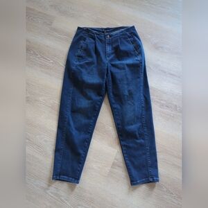 EILEEN FISHER Women’s Blue Colour Jeans Trousers Organic Cotton Size 8 Curved